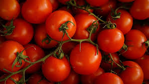 Tomate